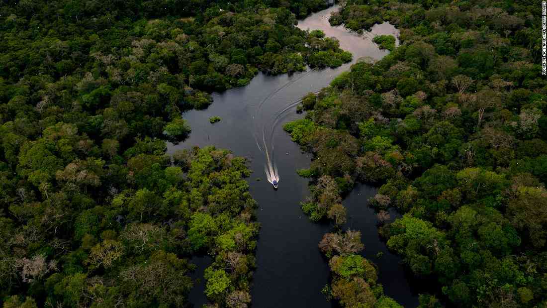 Brazil v satellites: Data seen as way to cut illegal logging